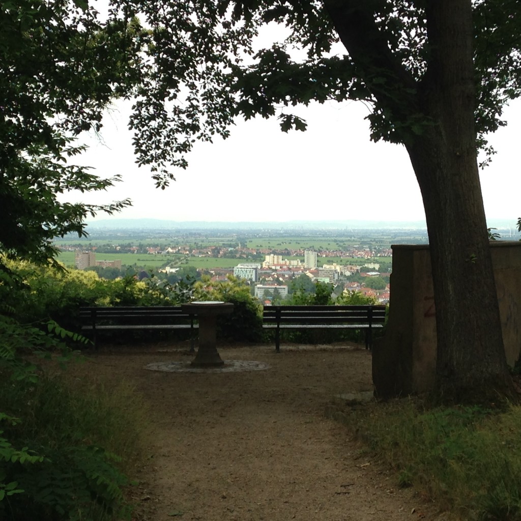 Blick über Neustadt