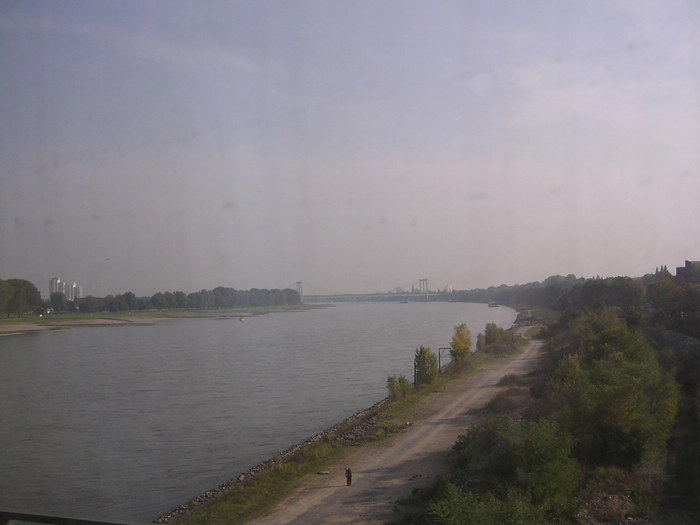 Rhein bei Köln