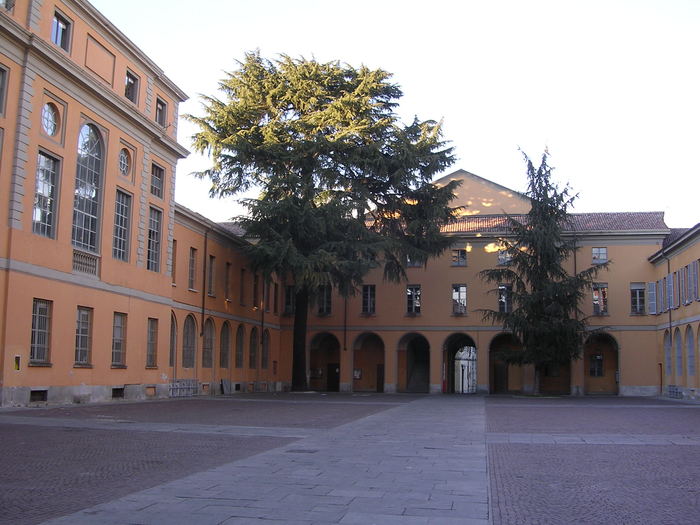 Università