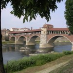 Pavia